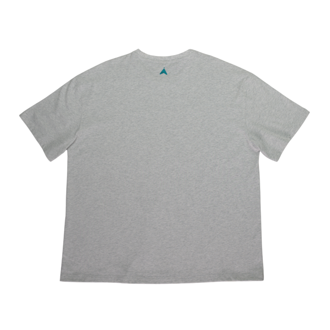 Gray cotton t-shirt, back view