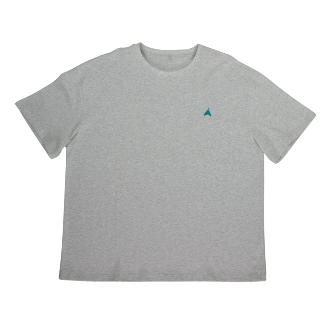 Gray cotton t-shirt, front view